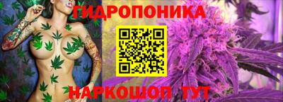 ГАЛЛЮЦИНОГЕННЫЕ ГРИБЫ Кизилюрт
