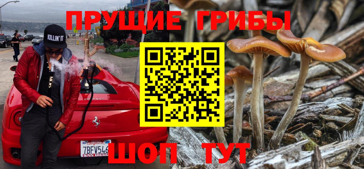 Псилоцибиновые грибы Magic Shrooms Алейск